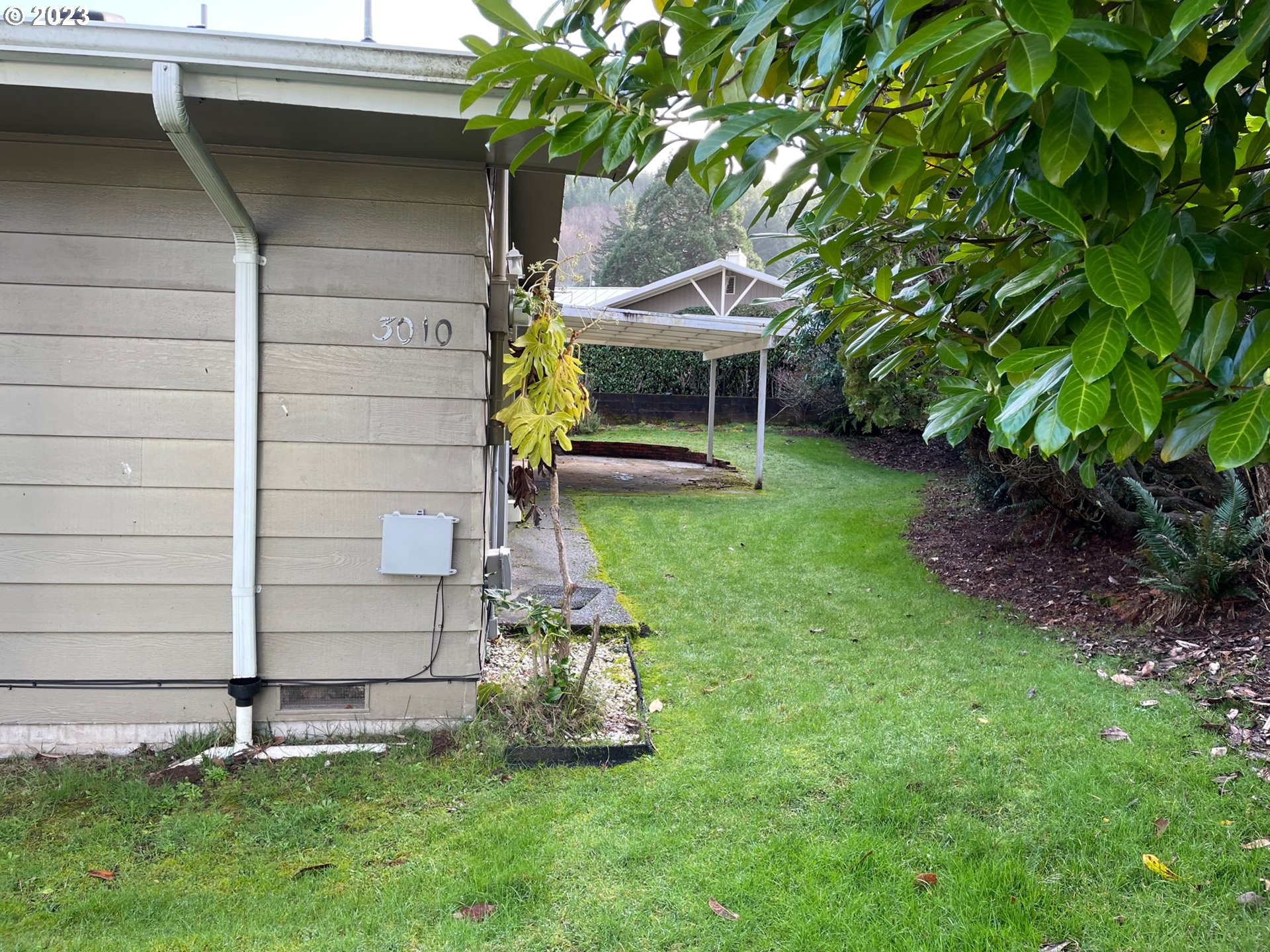 3010 Morris Place Reedsport, OR 97467 - Photo 8 of 32 Yard