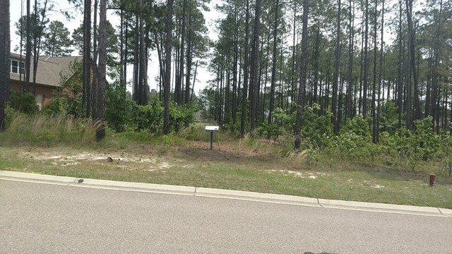 841 Steeplechase Road Aiken, SC 29803 - Photo 3 of 10