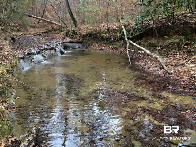 0 Legion Road Camden, AL 36726 - Photo 6 of 9