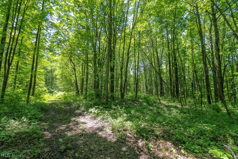 Hines Ridge Rd Port Port Washington, OH 43837 - Photo 14 of 35 Gallery Image 14