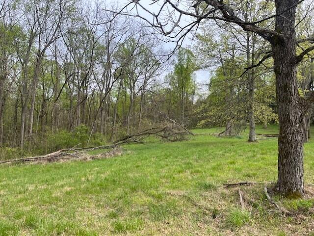 0 Gearing Ridge Road Londonderry, OH 45647 - Photo 9 of 29 thumbnail_IMG_7329