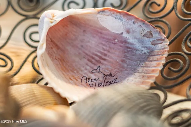 $3,200 | 202 Dobbs Street, Unit C, Atlantic Beach, NC 28512