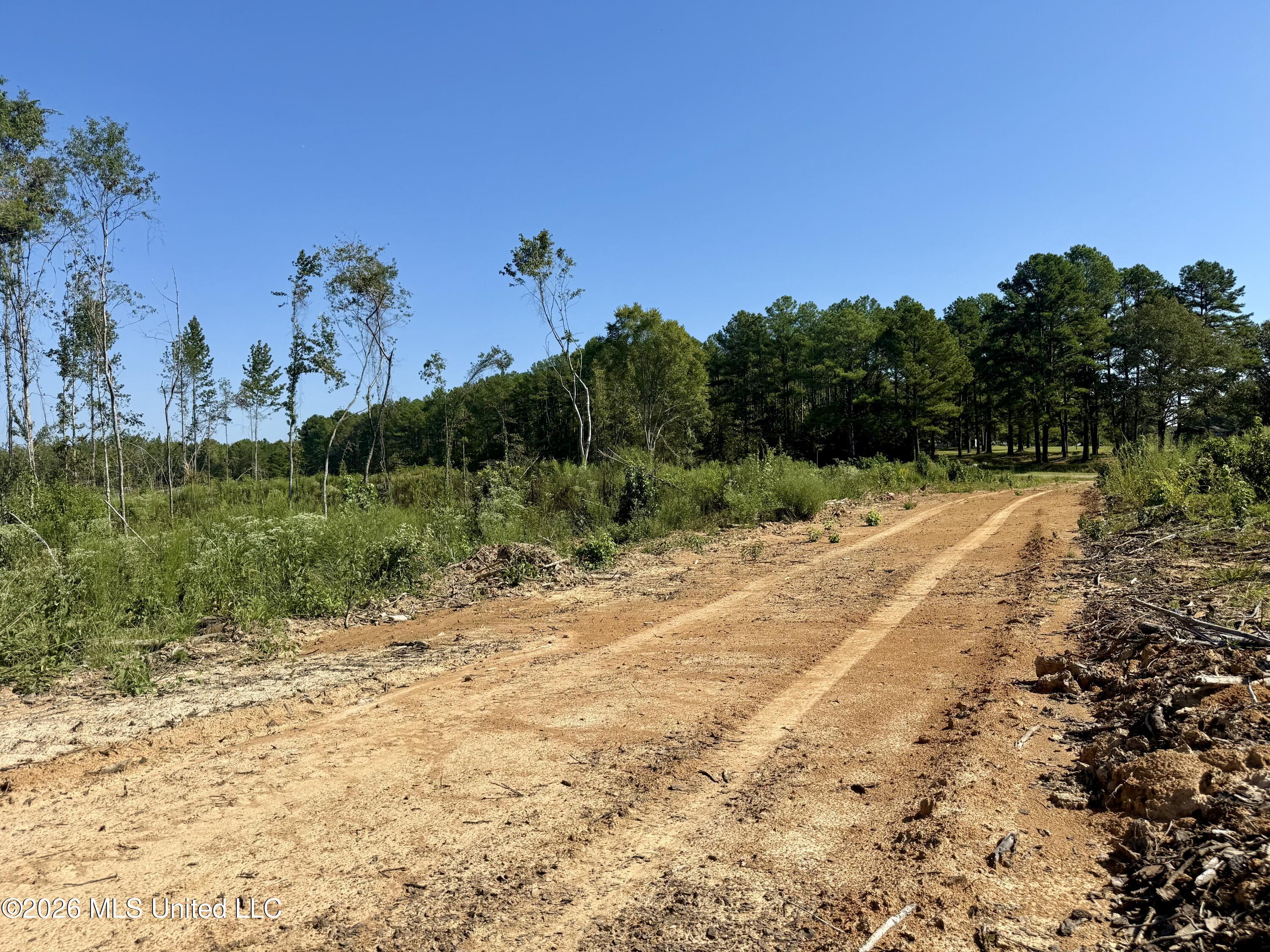 Cauthen Road Camden, MS 39045 - Photo 15 of 22 FullSizeRender