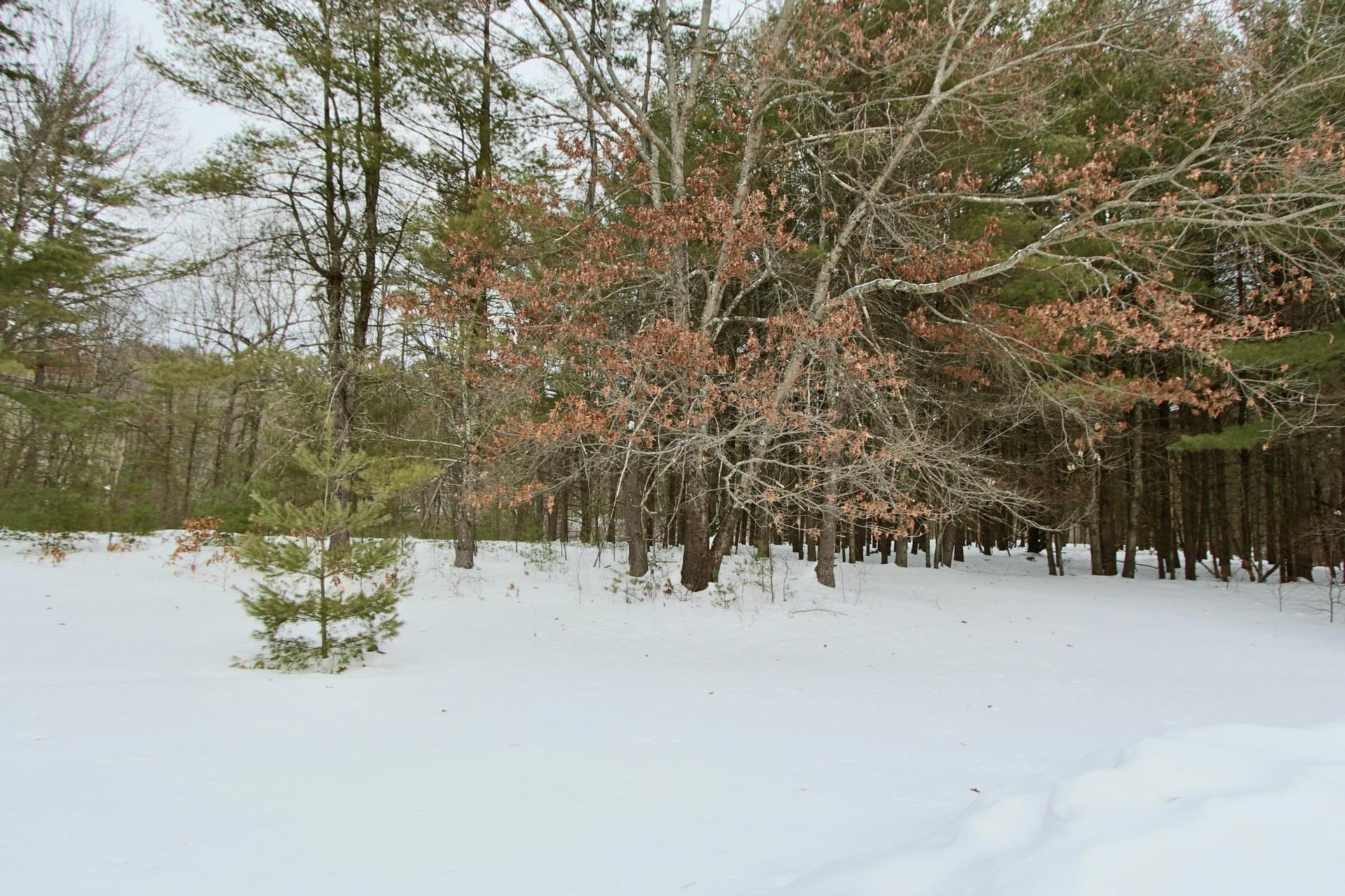 101 Page Road Litchfield, NH 03052 - Photo 12 of 27