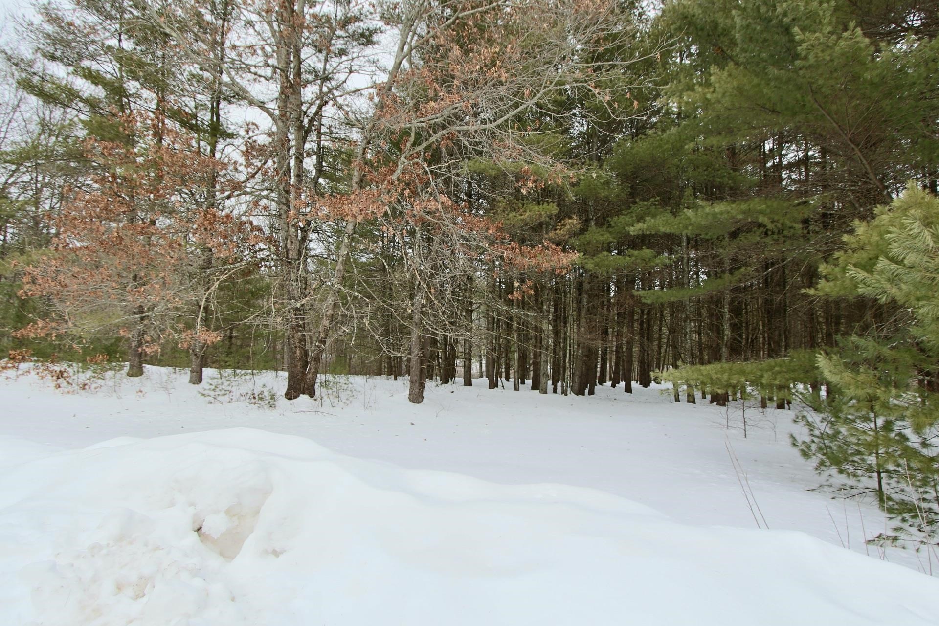 101 Page Road Litchfield, NH 03052 - Photo 13 of 27