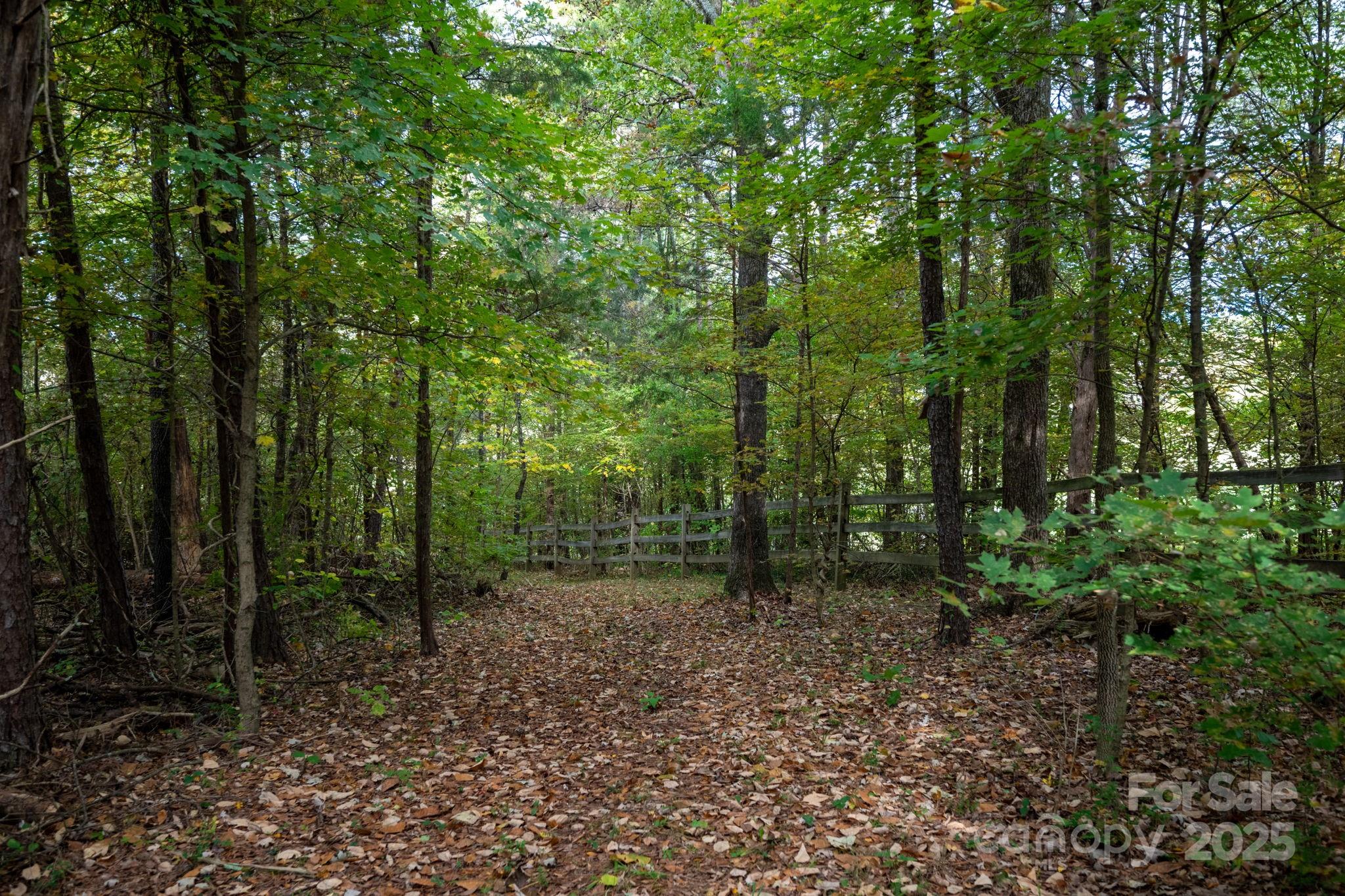 400 Ratledge Road Mocksville, NC 27028 - Photo 44 of 48 a view of a forest with trees in the background