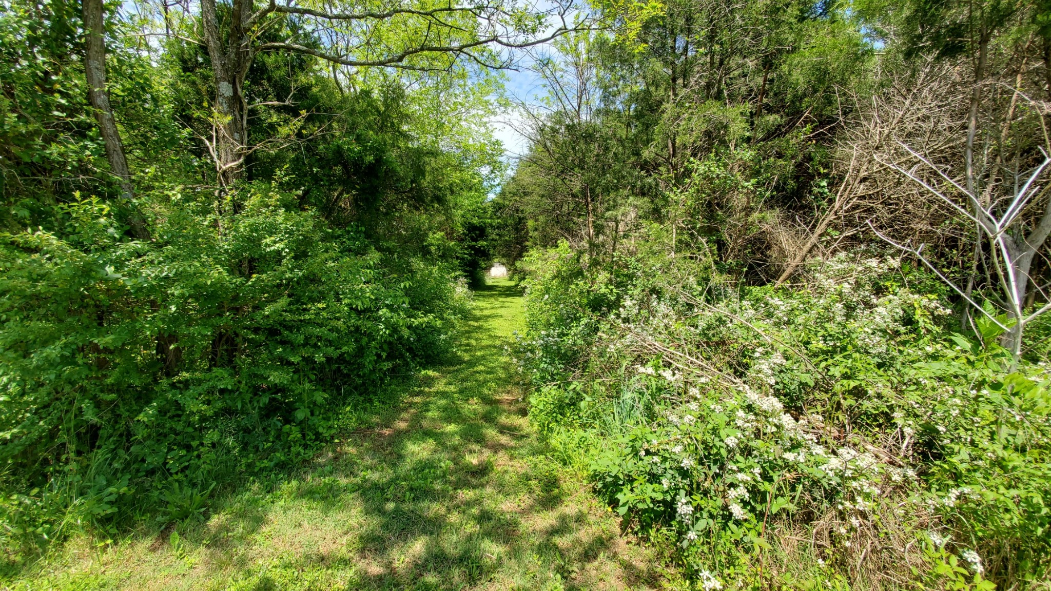 1112 McCrary Road Lebanon, TN 37090 - Photo 16 of 23 Gallery Image 16