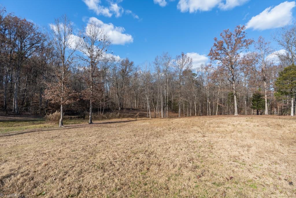 6238 Davis Mill Road Randleman, NC 27317 - Photo 37 of 46 Rear pasture