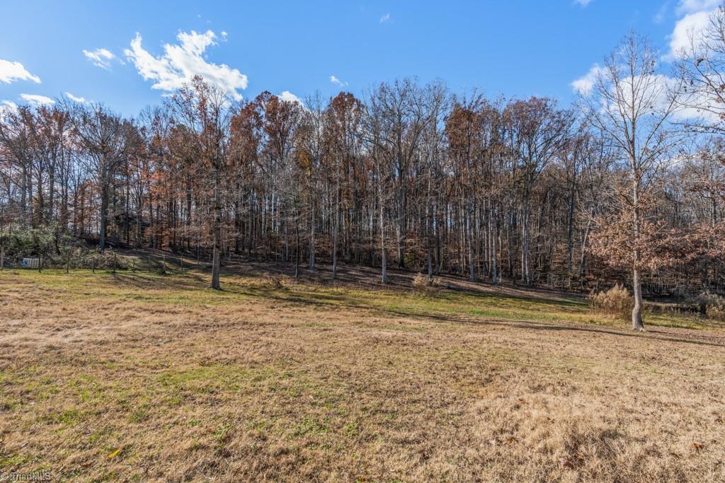 6238 Davis Mill Road Randleman, NC 27317 - Photo 38 of 46 Gallery Image 38