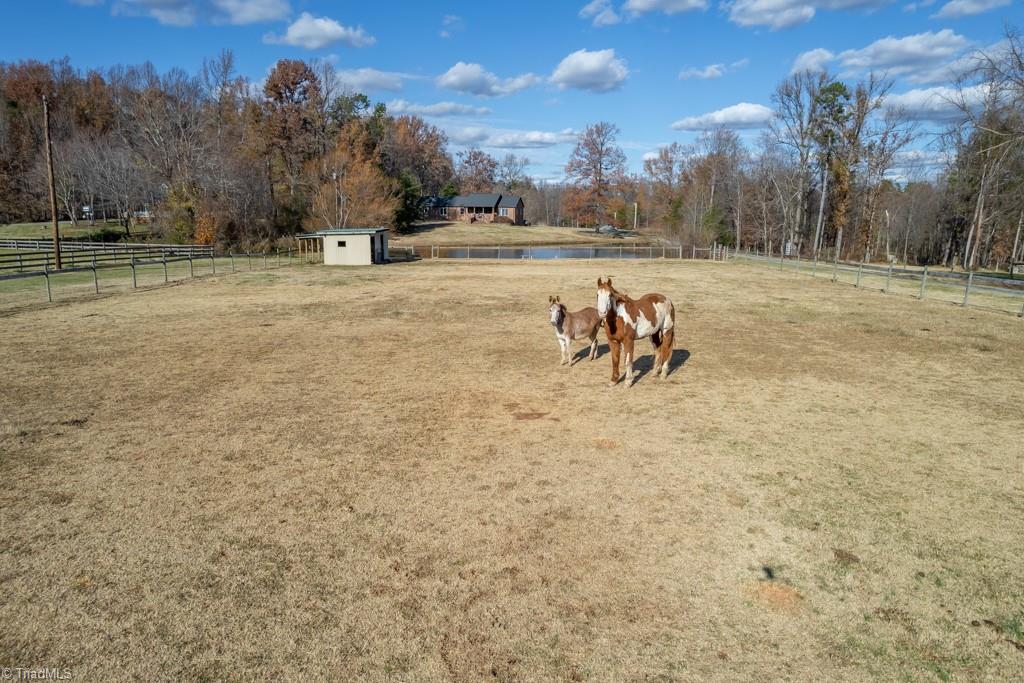 6238 Davis Mill Road Randleman, NC 27317 - Photo 44 of 46 Gallery Image 44