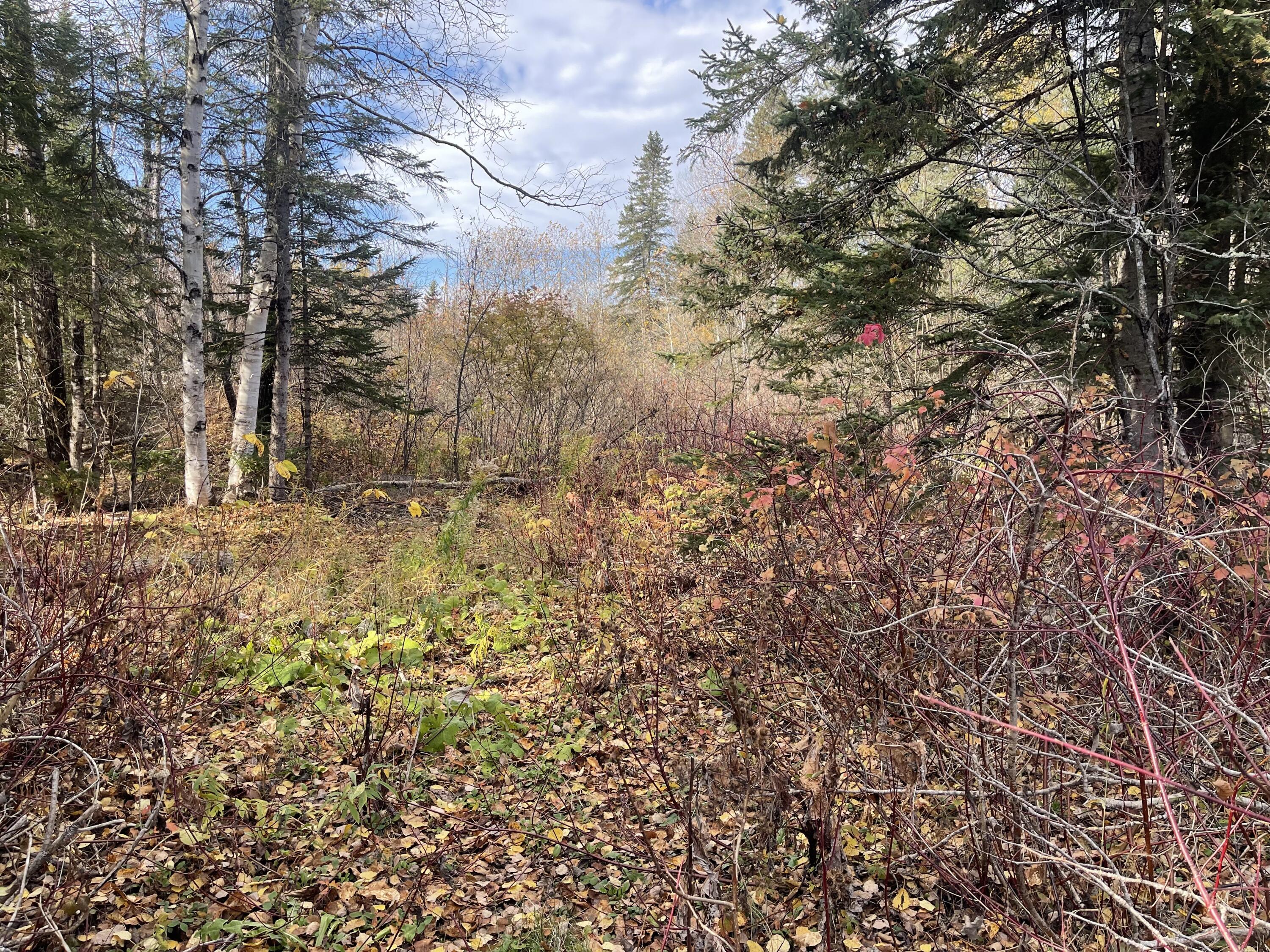 11 Martin Road Fort Fairfield, ME 04742 - Photo 16 of 49 IMG_7288