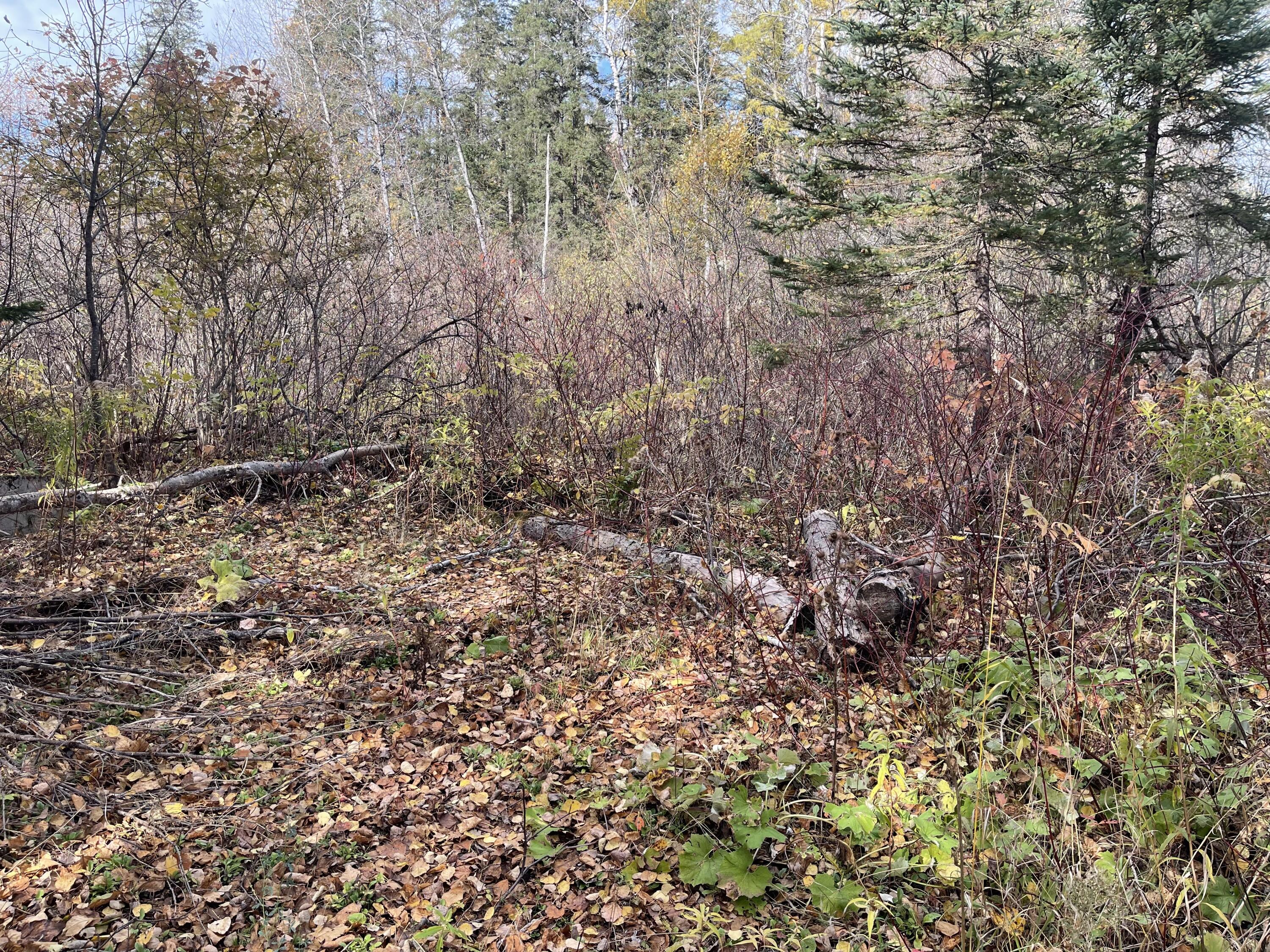 11 Martin Road Fort Fairfield, ME 04742 - Photo 17 of 49 IMG_7289