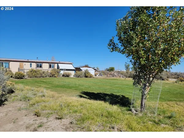 a view of a large yard with lots of green space
