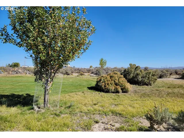 a view of a backyard of a house