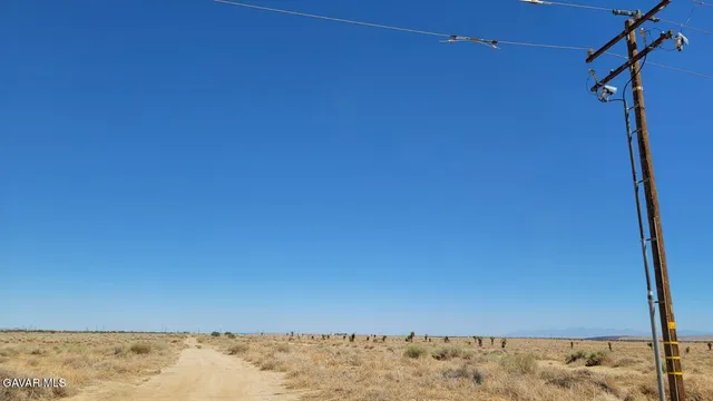 a view of a door with a tree