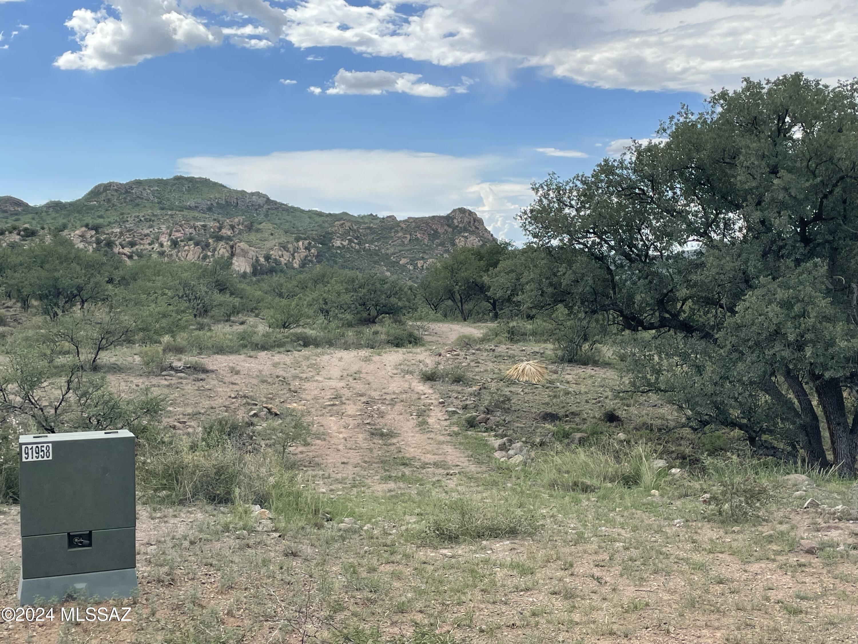 Tbd Tbd Calle De La, Unit 143 5 Rio Rico, AZ 85648 - Photo 4 of 20