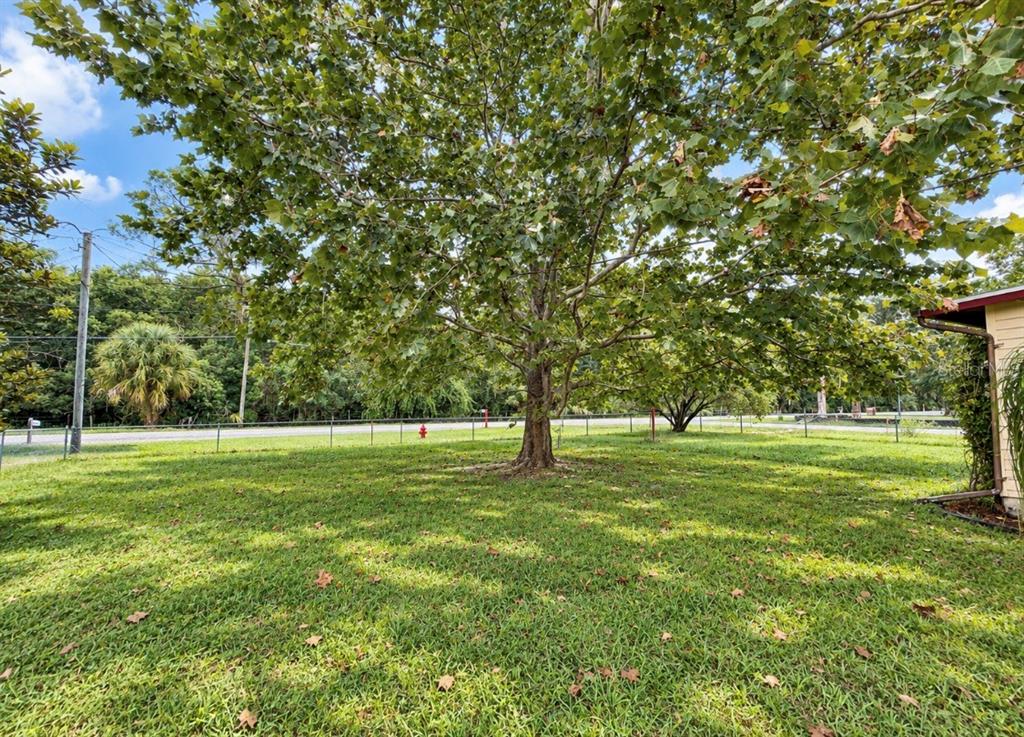 2222 Getford Road Eustis, FL 32726 - Photo 16 of 19 Gallery Image 16