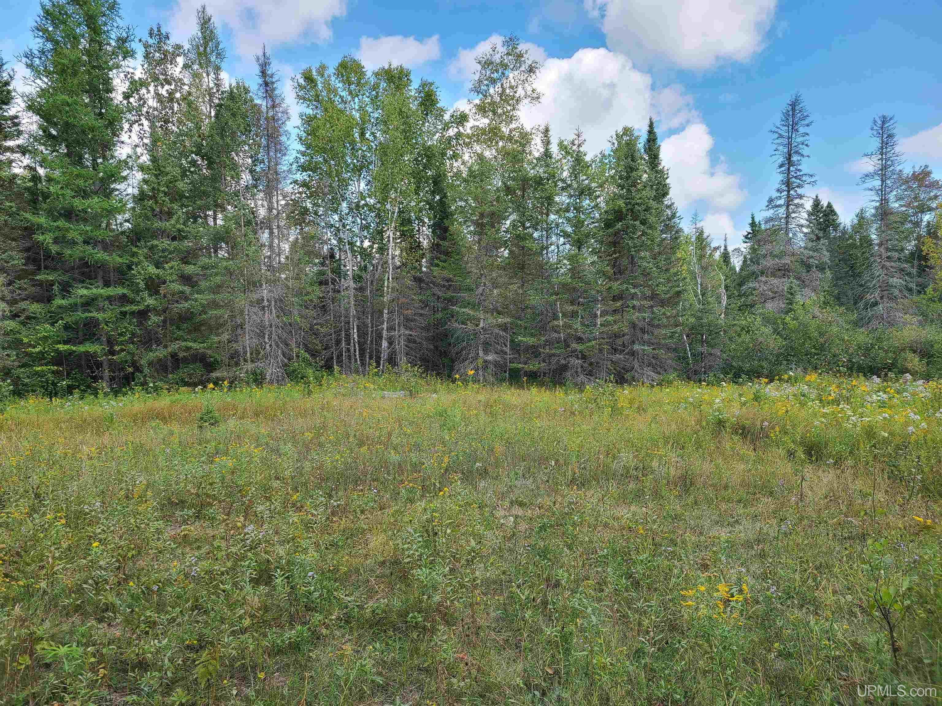W1322 Co Road Felch, MI 49831 - Photo 12 of 17