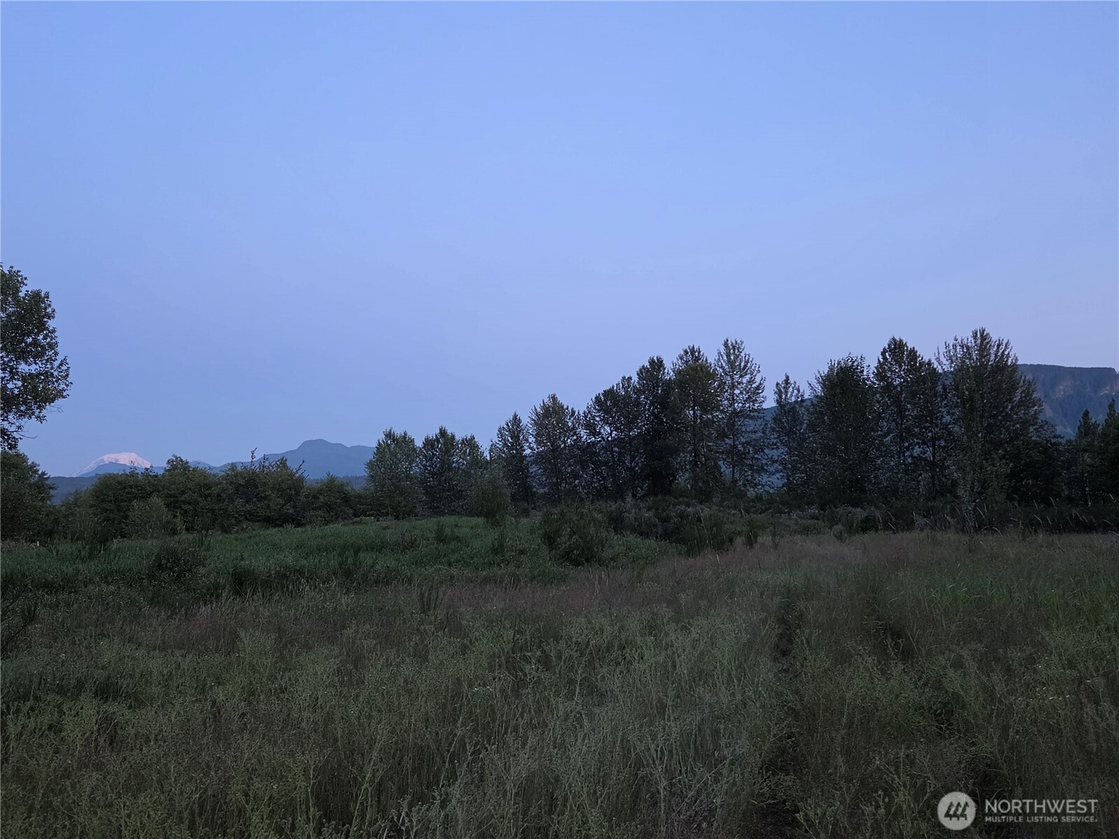 108 Savio Road East Randle, WA 98377 - Photo 26 of 33