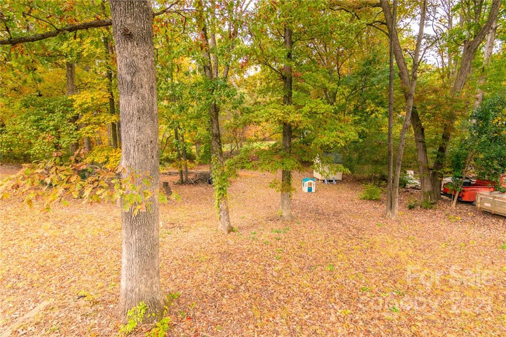 124 Pine State Road Troutman, NC 28166 - Photo 24 of 45 Gallery Image 24