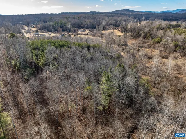 a view of a large yard with lots of trees