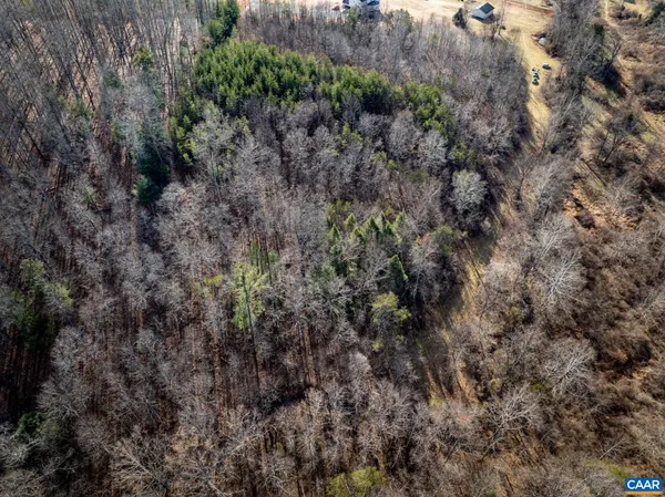 a view of a forest with a street