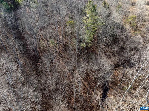 $139,000 | 3.94-ac Peace And Quiet Circle, Reva, VA 22735