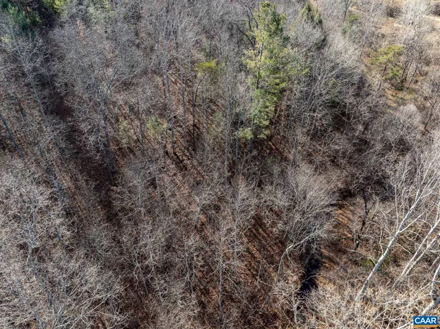 $139,000 | 3.94-ac Peace And Quiet Circle, Reva, VA 22735