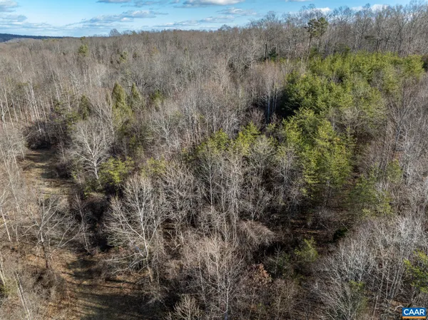 a view of a dry and trees in a field