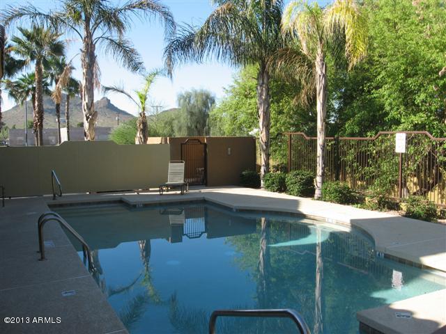 1702 East Bell Road, Unit 120 Phoenix, AZ 85022 - Photo 3 of 21 Comm Pool (Small)
