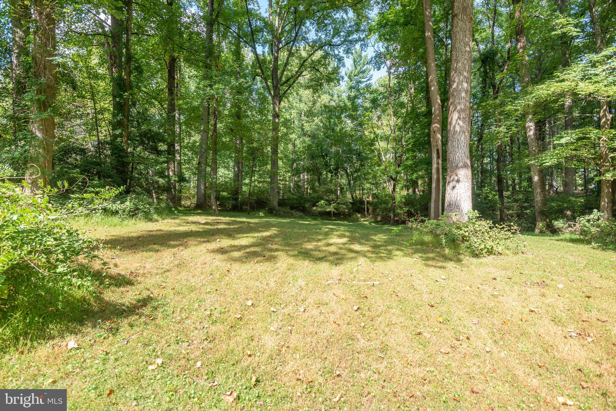 20005 Pinebark Way Brinklow, MD 20862 - Photo 43 of 50
