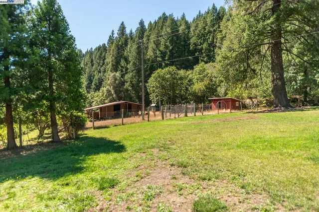 a view of a house with a yard and large tree
