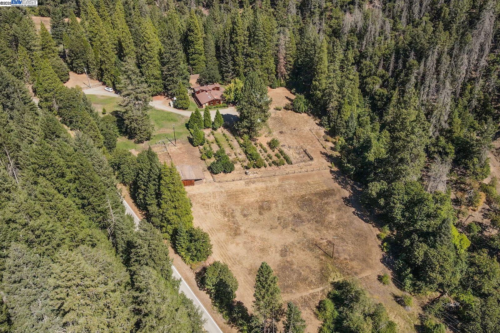 4481 Rush Creek Road Lewiston, CA 96052 - Photo 5 of 50 a view of outdoor space