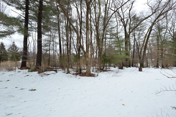 20 Pinewood Road Peabody, MA 01960 - Photo 23 of 23 Gallery Image 23