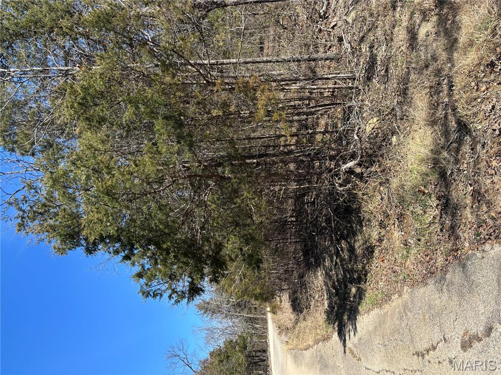 0 Rue Angeline Bonne Terre, MO 63628 - Photo 3 of 5