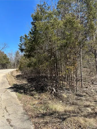 $19,000 | 0 Rue Angeline, Bonne Terre, MO 63628