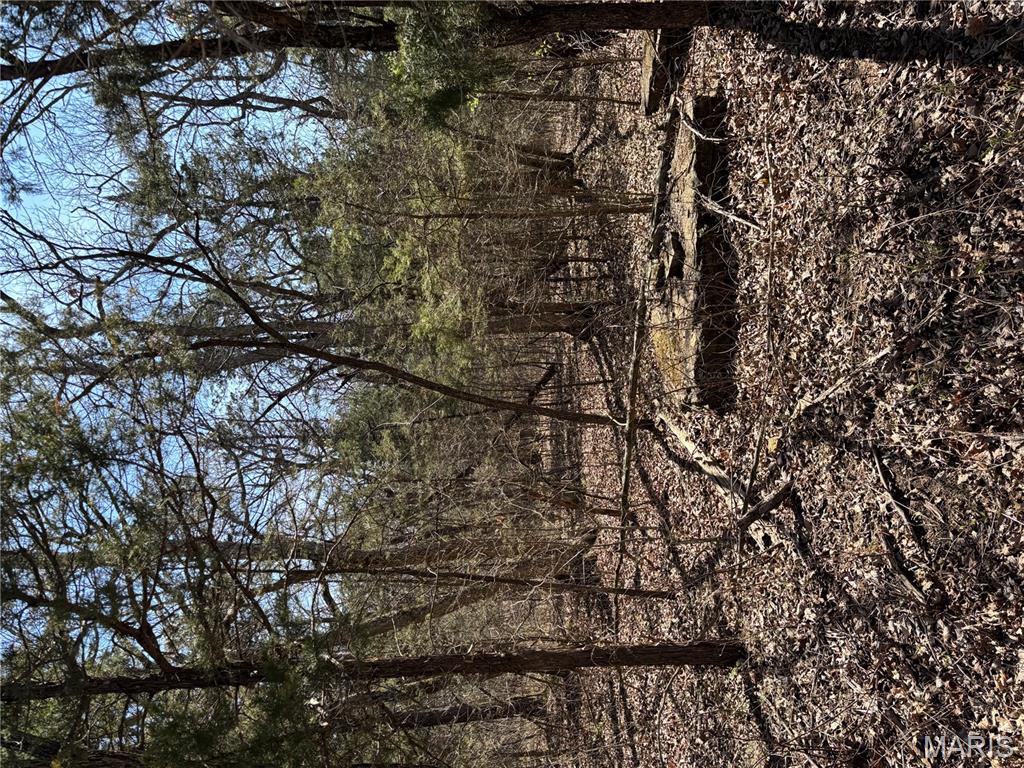 0 Rue Angeline Bonne Terre, MO 63628 - Photo 4 of 5