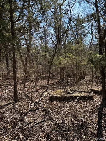 $19,000 | 0 Rue Angeline, Bonne Terre, MO 63628