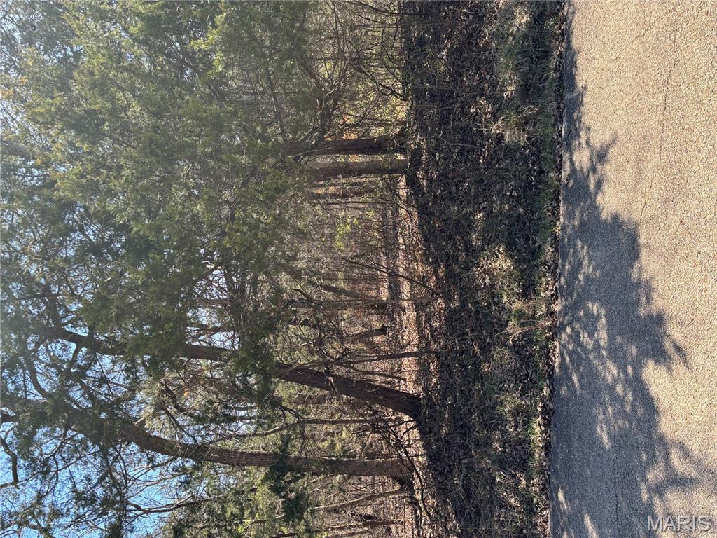 0 Rue Angeline Bonne Terre, MO 63628 - Photo 5 of 5