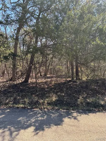 $19,000 | 0 Rue Angeline, Bonne Terre, MO 63628