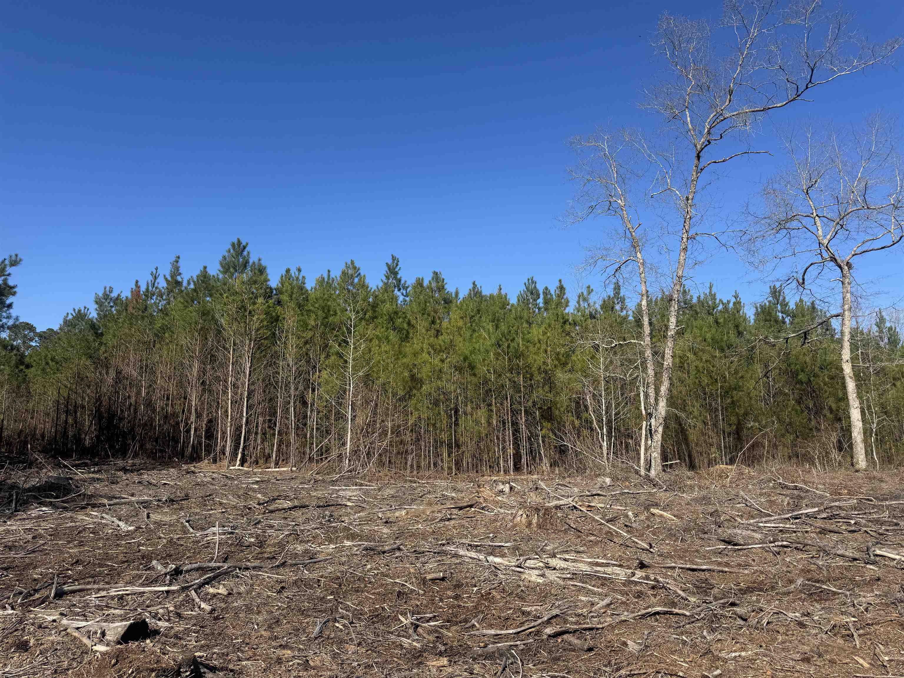 8862 Ware Drive Nichols, SC 29581 - Photo 4 of 9