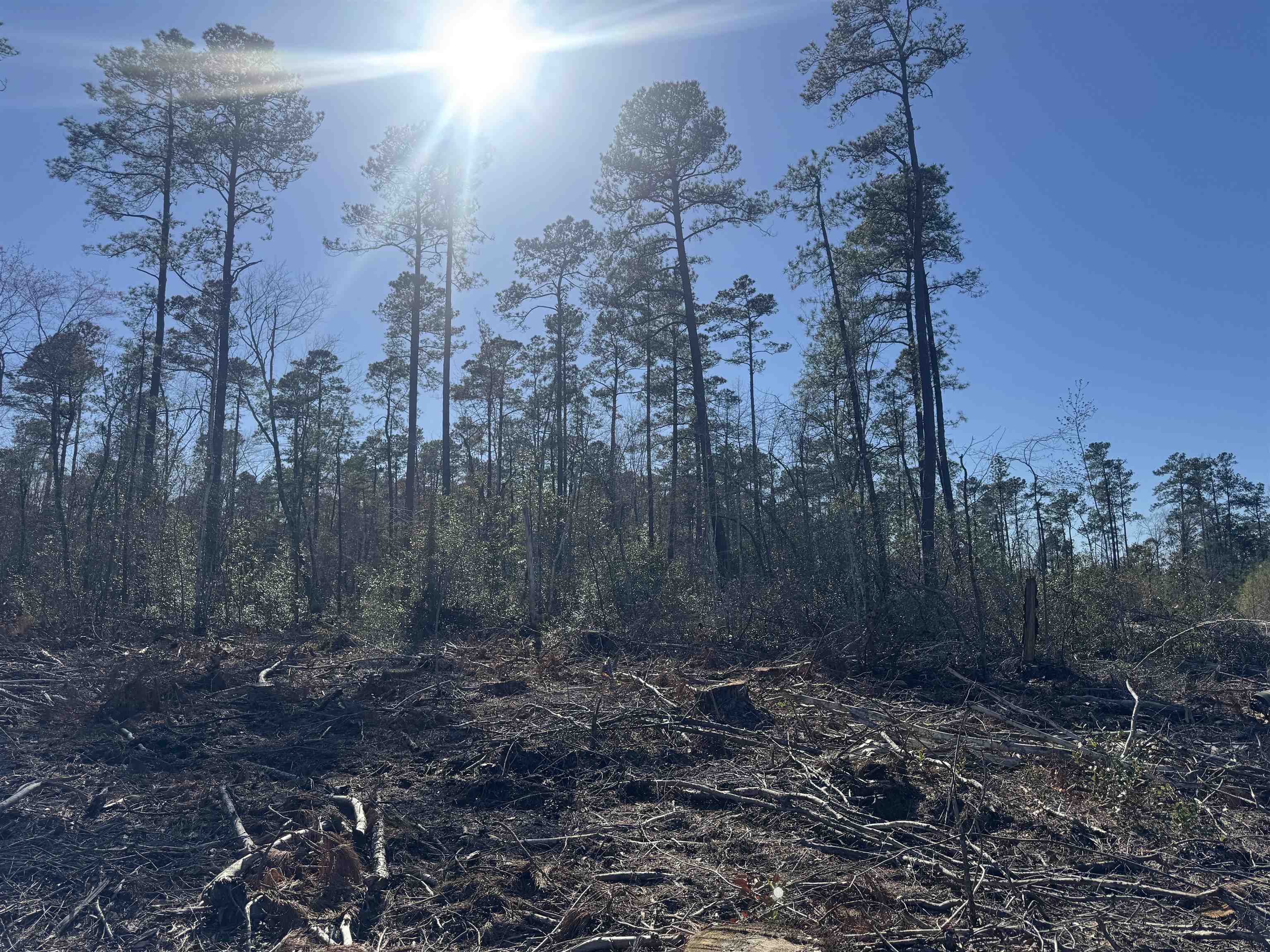 8862 Ware Drive Nichols, SC 29581 - Photo 6 of 9