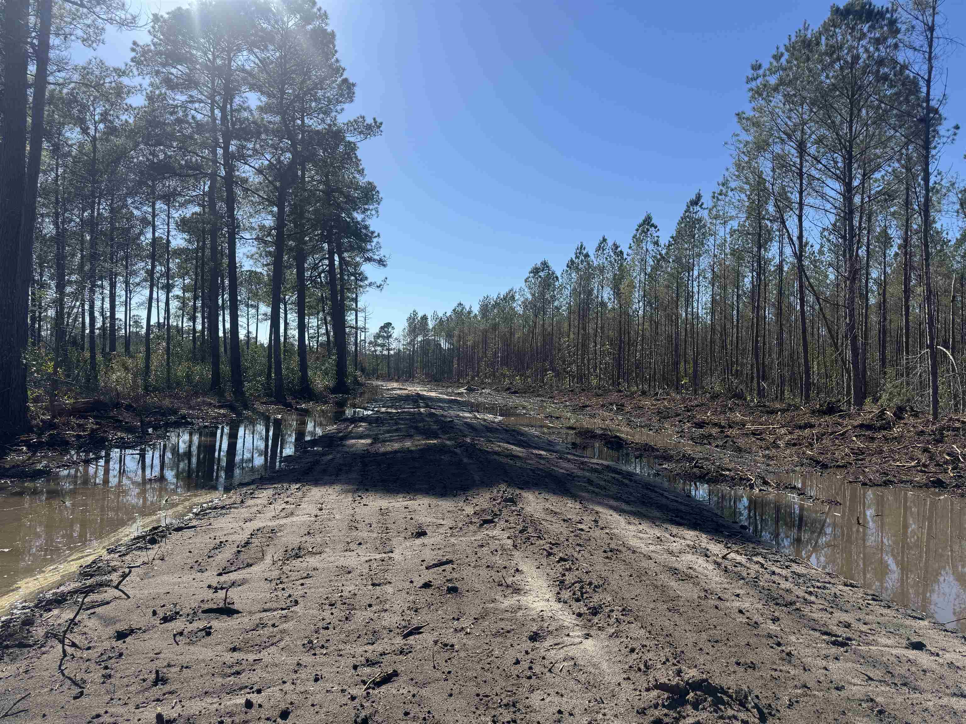 8862 Ware Drive Nichols, SC 29581 - Photo 9 of 9