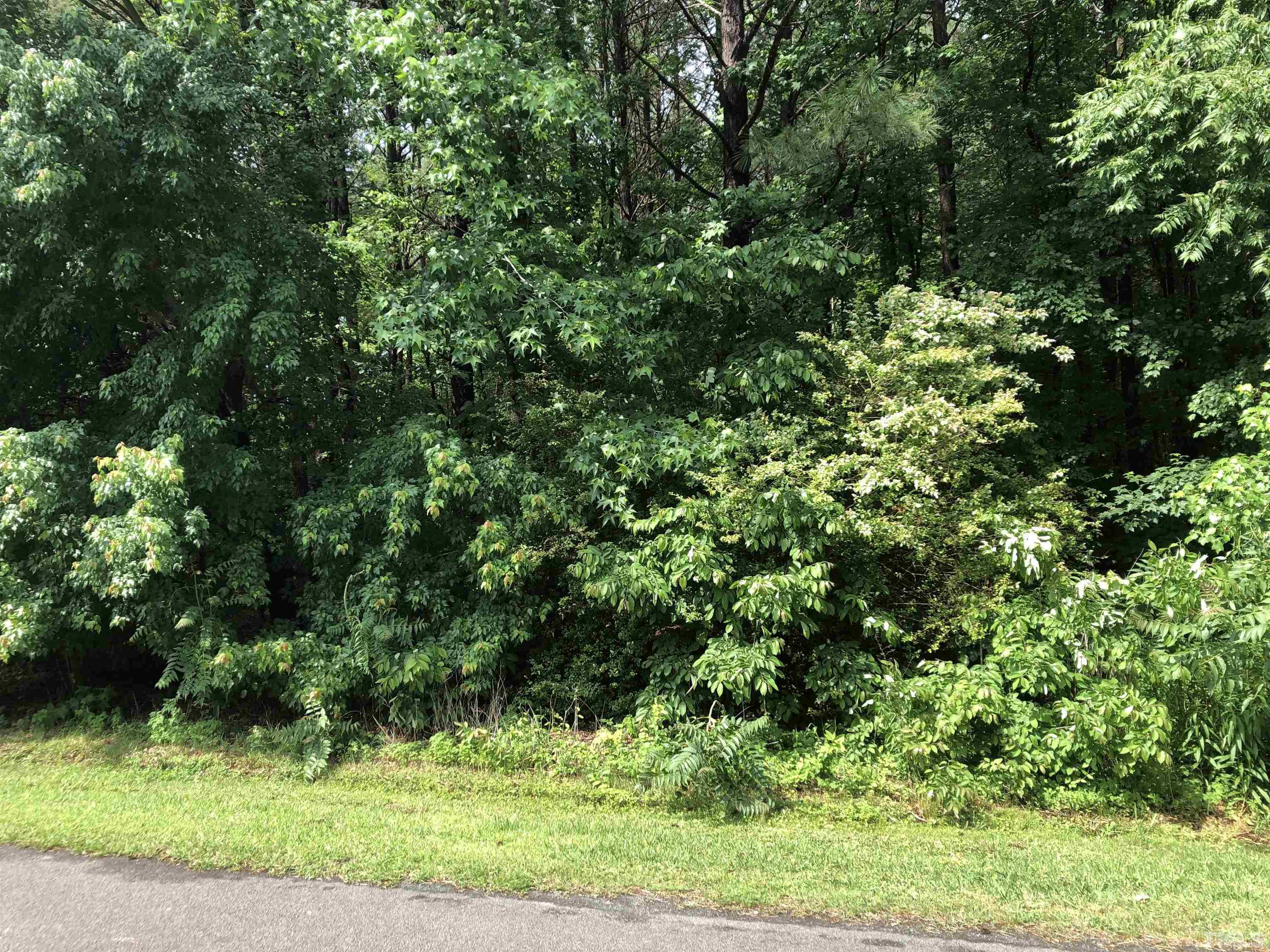 Lot 4-5 Badger Circle Roxboro, NC 27573 - Photo 2 of 3 a view of a lush green field