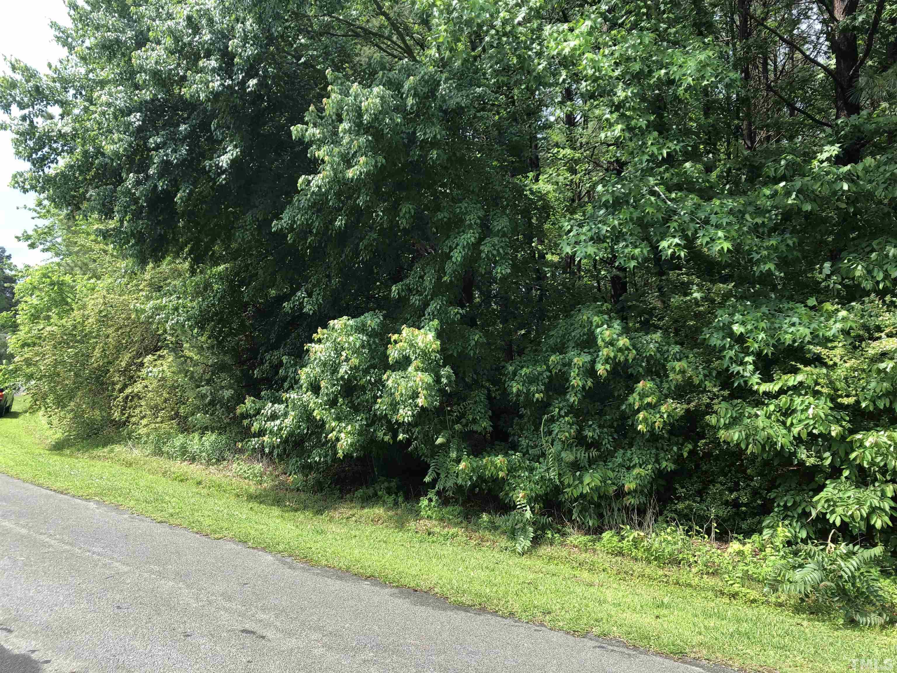 Lot 4-5 Badger Circle Roxboro, NC 27573 - Photo 3 of 3 a view of a yard with plants and large trees