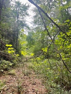 Lot 8-block Lonestar Road New Waverly, TX 77358 - Photo 2 of 8 LOT 8 BLOCK 12, PH 10