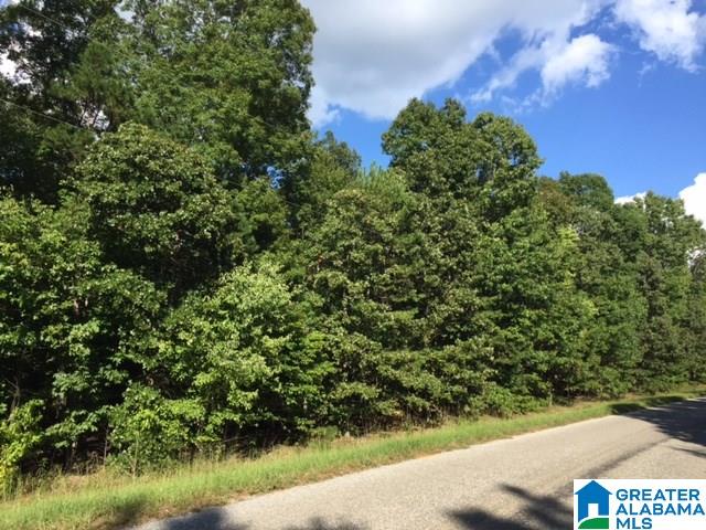 25 County Road, Unit TRACT 4 Wedowee, AL 36278 - Photo 1 of 2