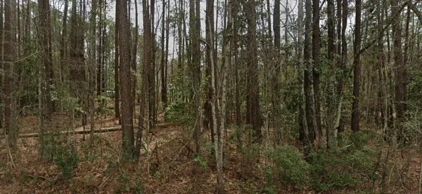 $20,000 | 2797 Hilda Drive, Orangeburg, SC 29115