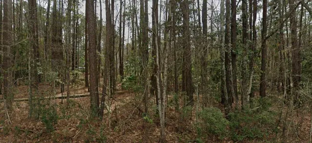 $25,000 | 2797 Hilda Drive, Orangeburg, SC 29115