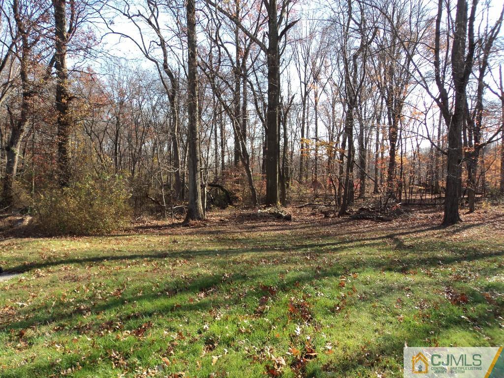 515 Sutherland Road Ewing, NJ 08618 - Photo 25 of 25 a view of swimming pool with large trees